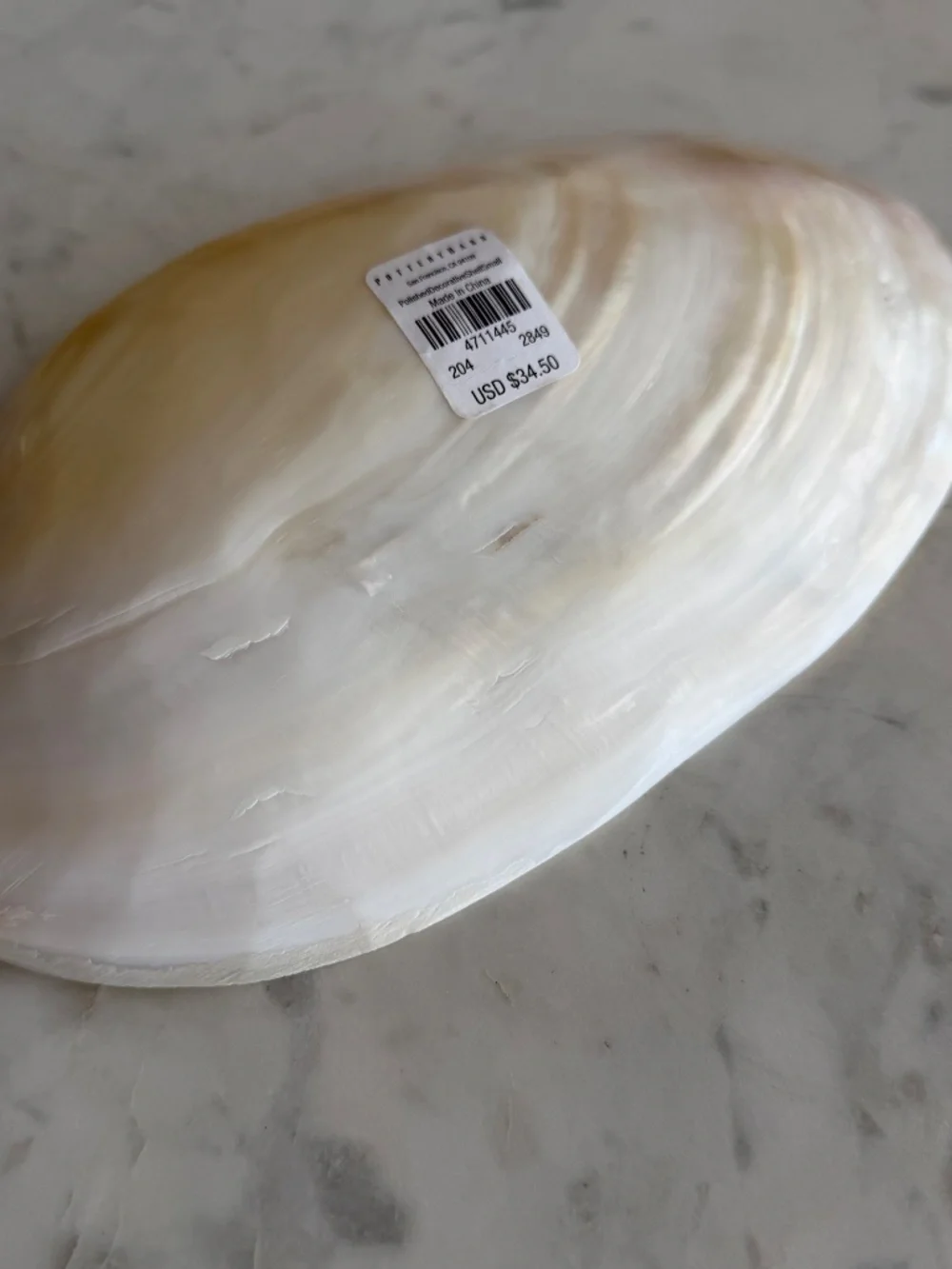 NEW! Pottery Barn Polished Decorative Shell